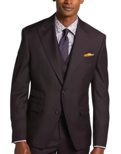 Tayion Classic Fit Suit Separates Coat, Wine Plum